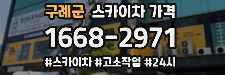 구례군 스카이차 가격