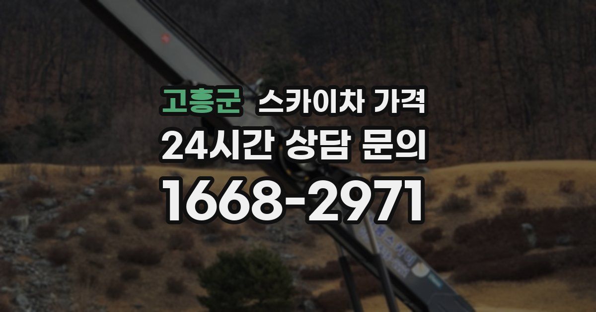 고흥군 스카이차 가격