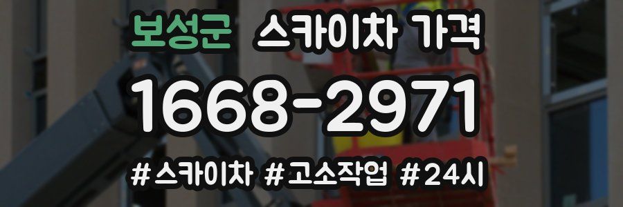 보성군 스카이차 가격