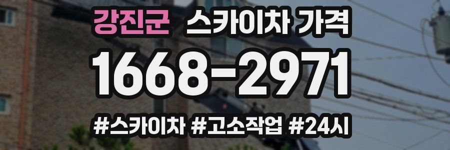 강진군 스카이차 가격