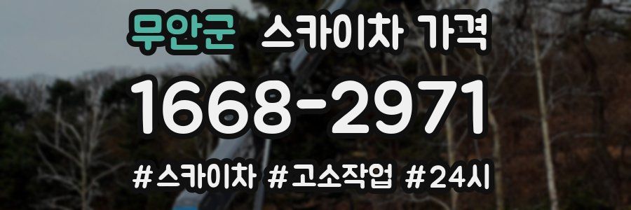 무안군 스카이차 가격