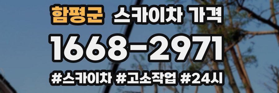 함평군 스카이차 가격