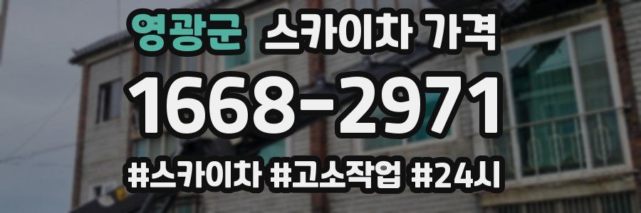 영광군 스카이차 가격