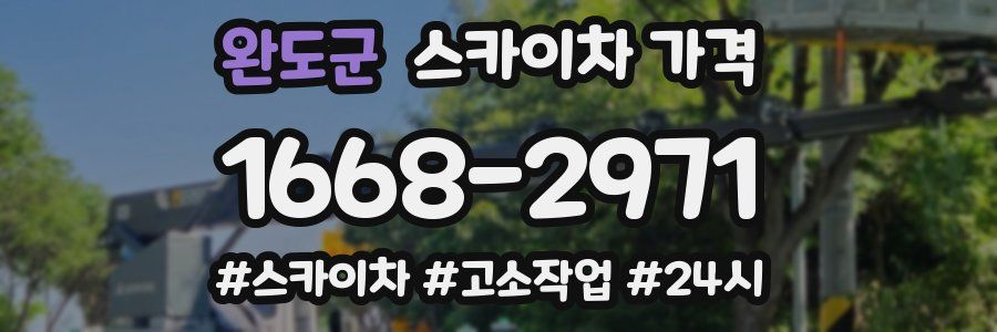 완도군 스카이차 가격