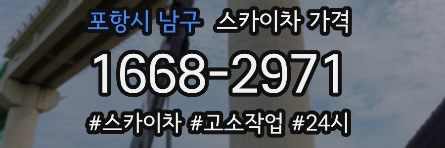 포항시 남구 스카이차 가격