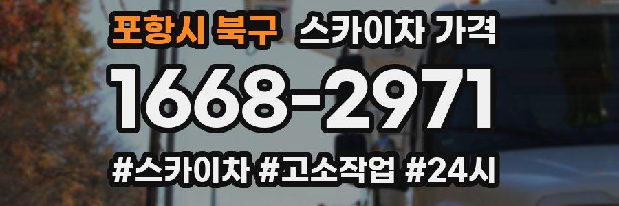 포항시 북구 스카이차 가격