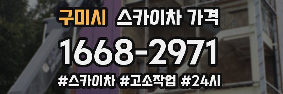 구미시 스카이차 가격