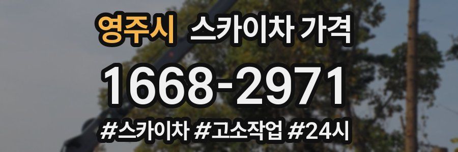 영주시 스카이차 가격