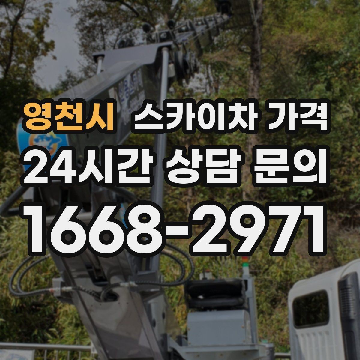 영천시 스카이차 가격 간판 전원 점검은 어디까지 포함될까