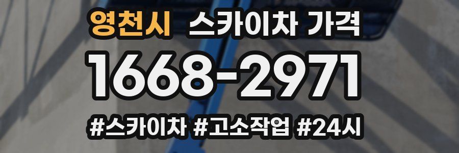 영천시 스카이차 가격