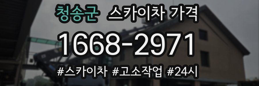 청송군 스카이차 가격