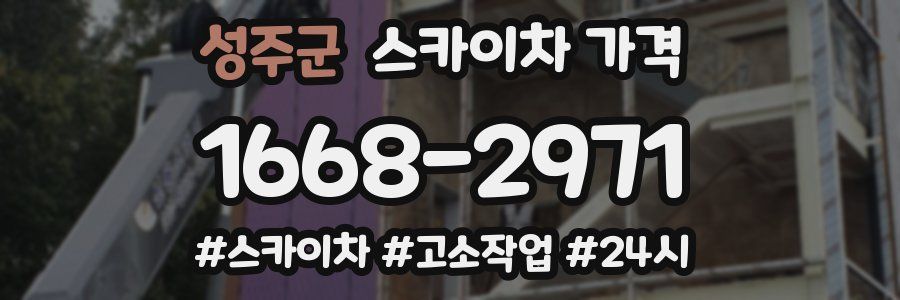 성주군 스카이차 가격