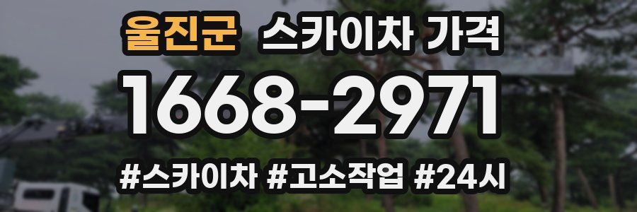 울진군 스카이차 가격