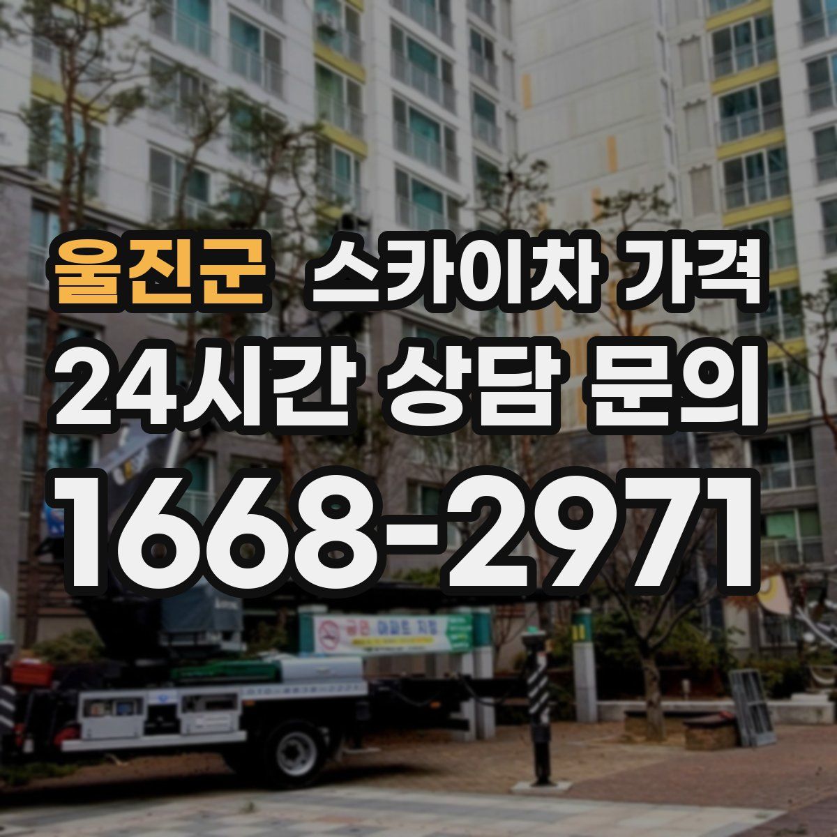 울진군 스카이차 가격