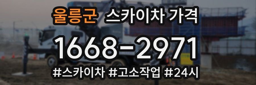 울릉군 스카이차 가격