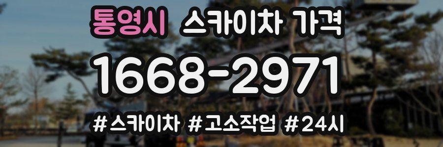 통영시 스카이차 가격