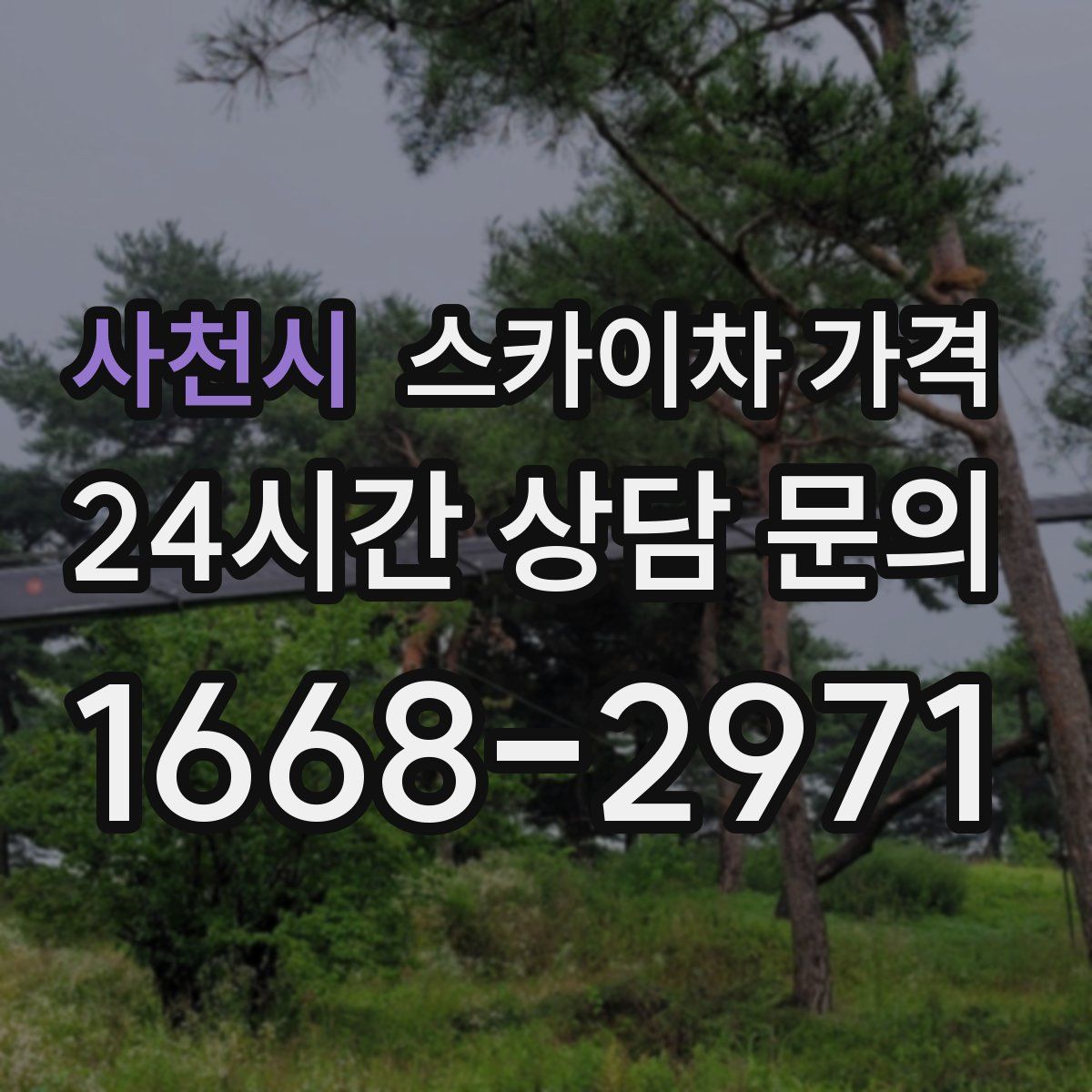 사천시 스카이차 가격