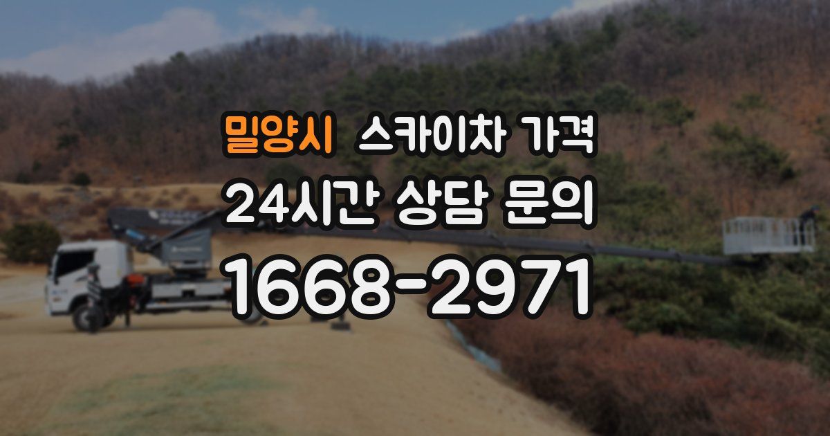 밀양시 스카이차 가격