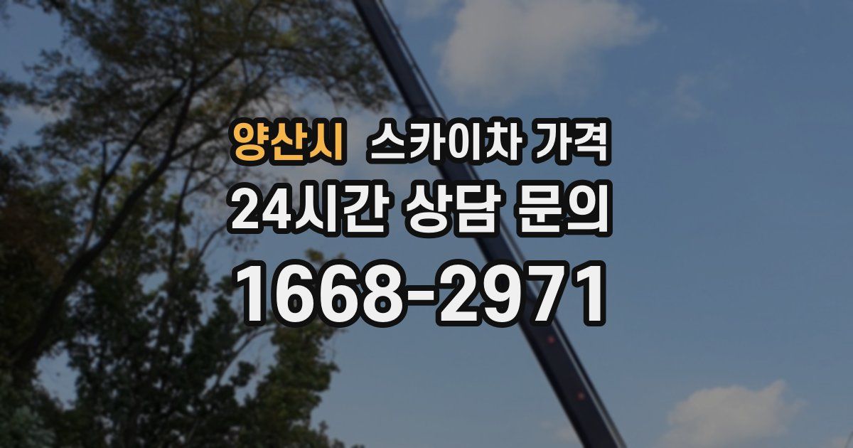 양산시 스카이차 가격