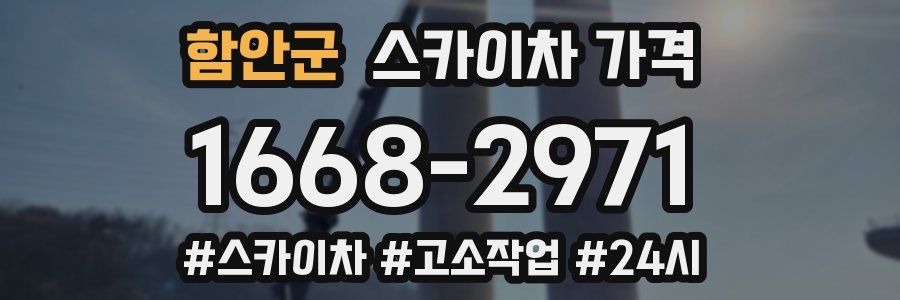 함안군 스카이차 가격