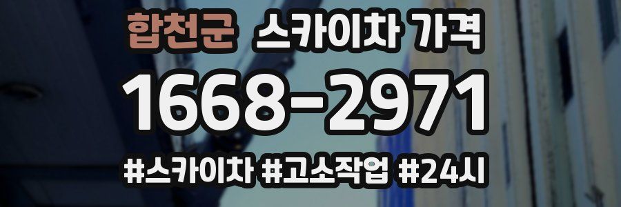 합천군 스카이차 가격