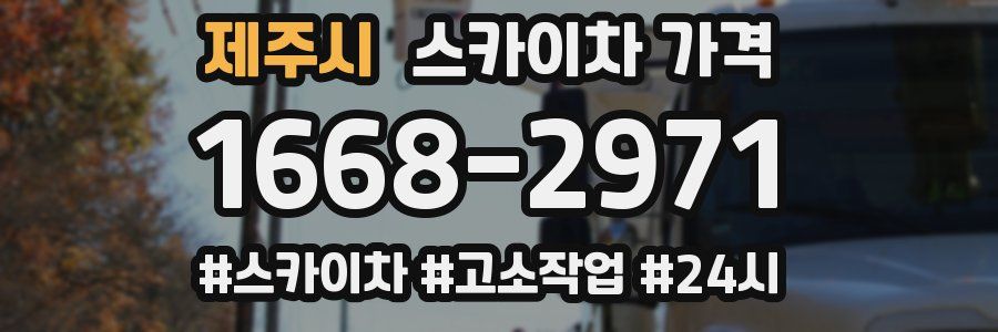 제주시 스카이차 가격