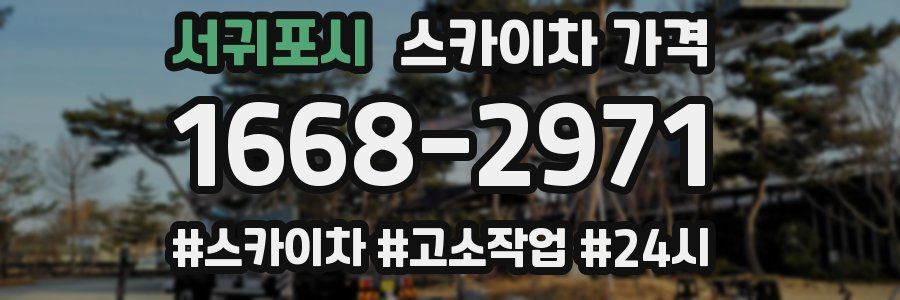 서귀포시 스카이차 가격