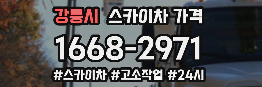 강릉시 스카이차 가격