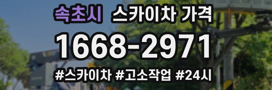 속초시 스카이차 가격