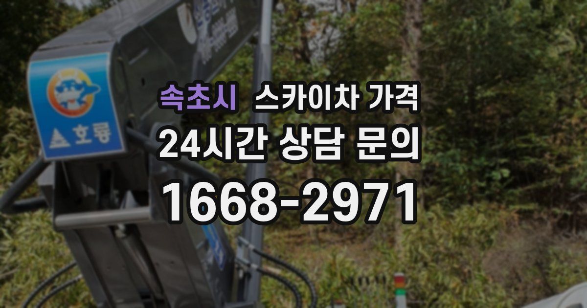 속초시 스카이차 가격