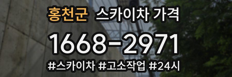 홍천군 스카이차 가격