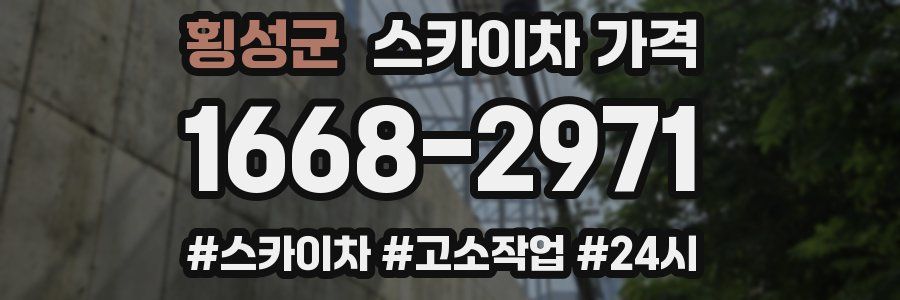 횡성군 스카이차 가격