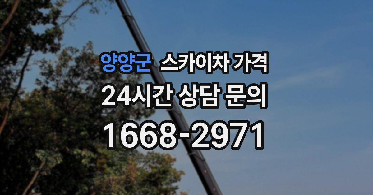 양양군 스카이차 가격