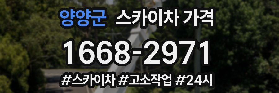 양양군 스카이차 가격