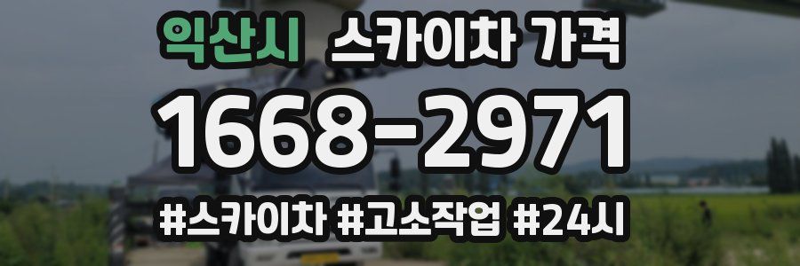 익산시 스카이차 가격