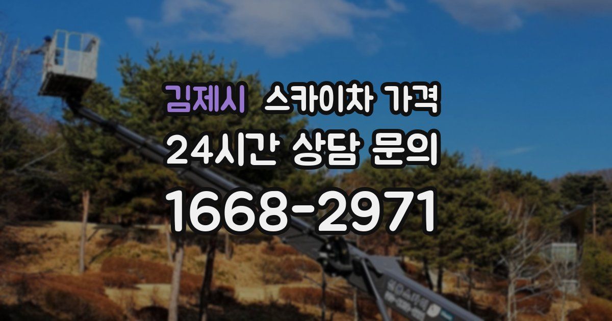 김제시 스카이차 가격