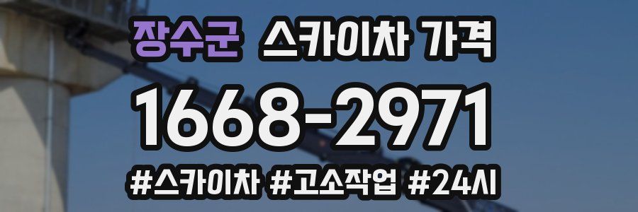 장수군 스카이차 가격