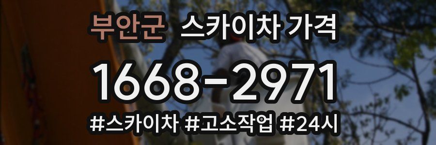 부안군 스카이차 가격