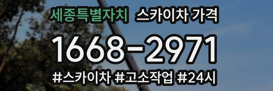 세종특별자치 스카이차 가격