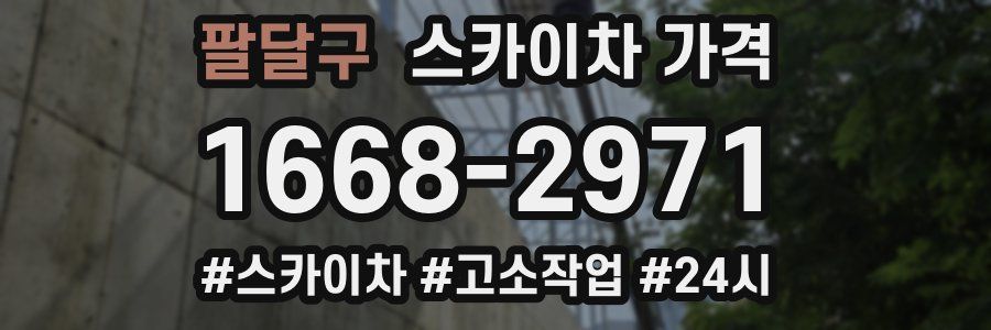 팔달구 스카이차 가격