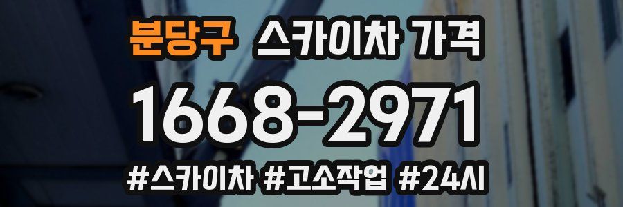 분당구 스카이차 가격