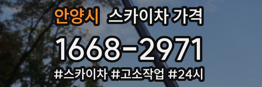 안양시 스카이차 가격