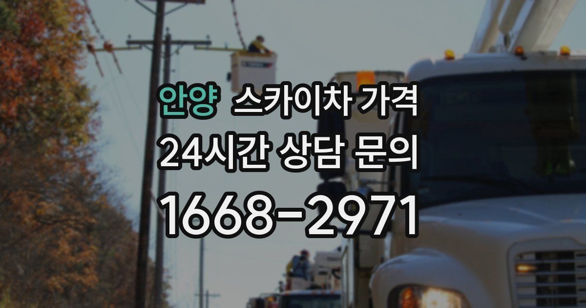 안양 스카이차 가격