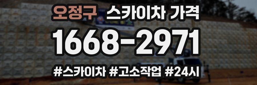 오정구 스카이차 가격