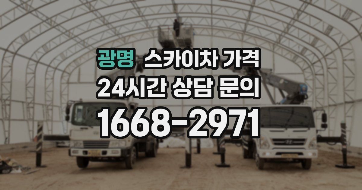 광명 스카이차 가격