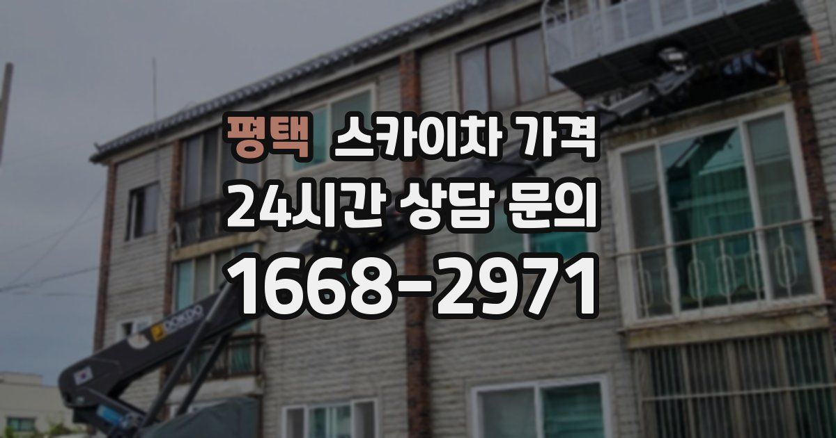 평택 스카이차 가격