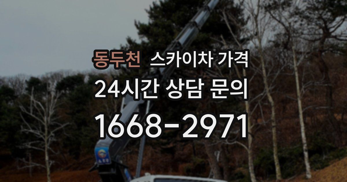 동두천 스카이차 가격