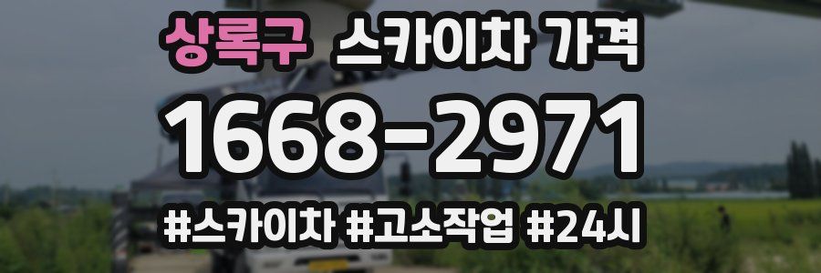 상록구 스카이차 가격