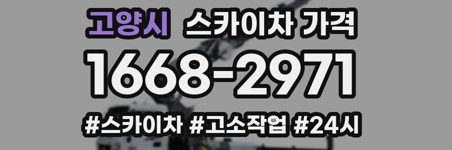 고양시 스카이차 가격