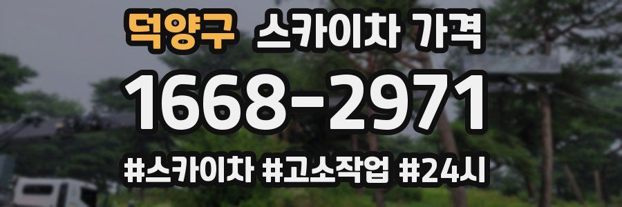 덕양구 스카이차 가격